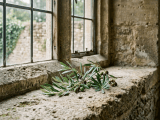 Mercy Triumphs Over Judgment – Living Out the Golden&nbsp;Rule